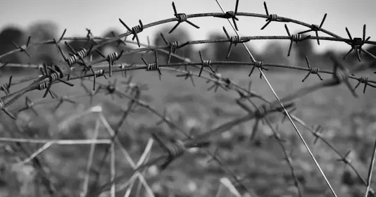 Barbed wire Bruno spiral