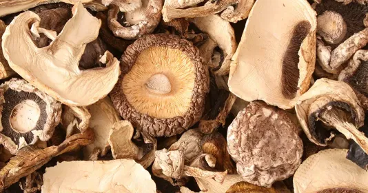 Mushrooms and vegetables drying
