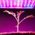 Светодиодная фитолампа для растений