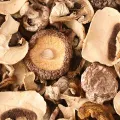 Сушіння грибів та овочів